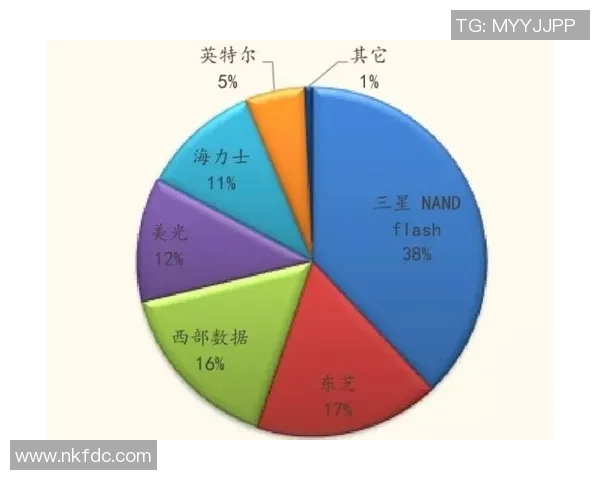 南京排球队技术对比深度解析与发展趋势展望 南京排球队技术对比深度解析与发展趋势展望